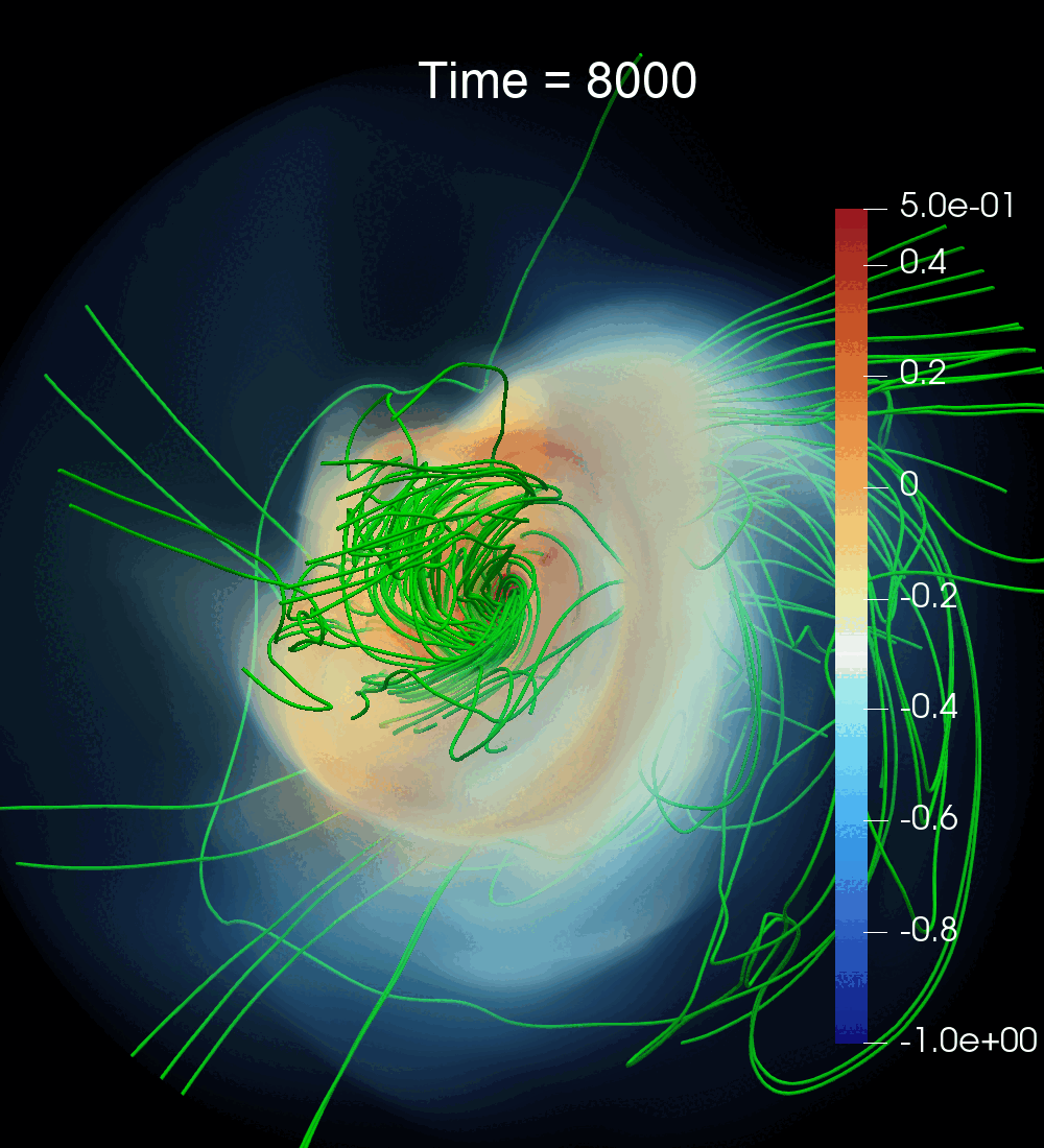 Density and magnetic field evolution